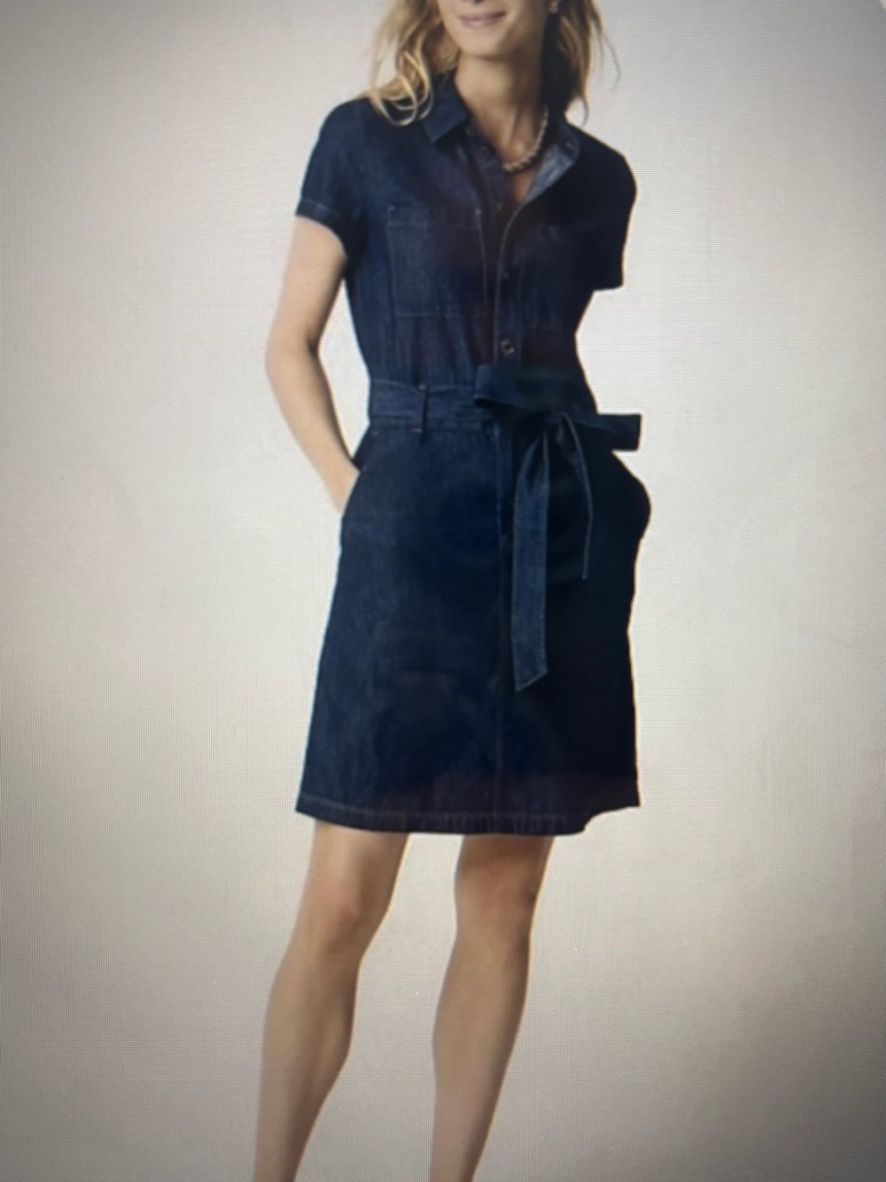 J. Crew Dark Blue Denim Shirt Dress